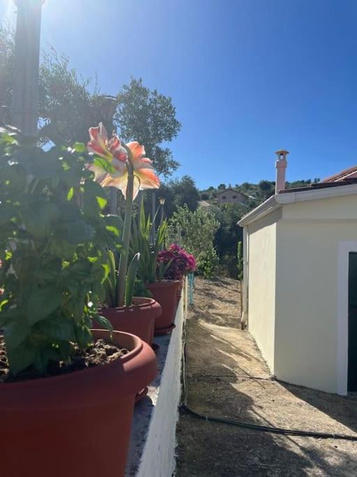 Apartamento Alex House Parga Exterior foto