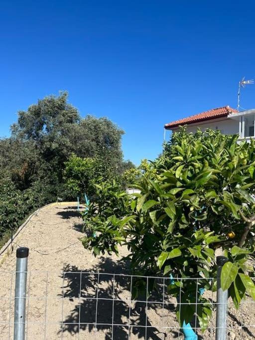 Apartamento Alex House Parga Exterior foto